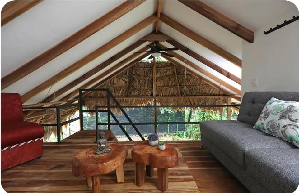 فيلا Evolution House Jungle Oasis Hone Creek المظهر الخارجي الصورة