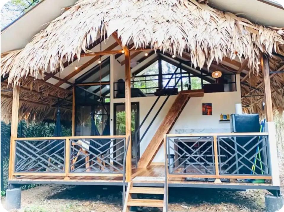 فيلا Evolution House Jungle Oasis Hone Creek المظهر الخارجي الصورة