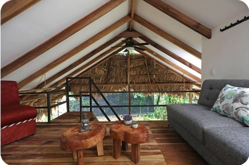فيلا Evolution House Jungle Oasis Hone Creek المظهر الخارجي الصورة
