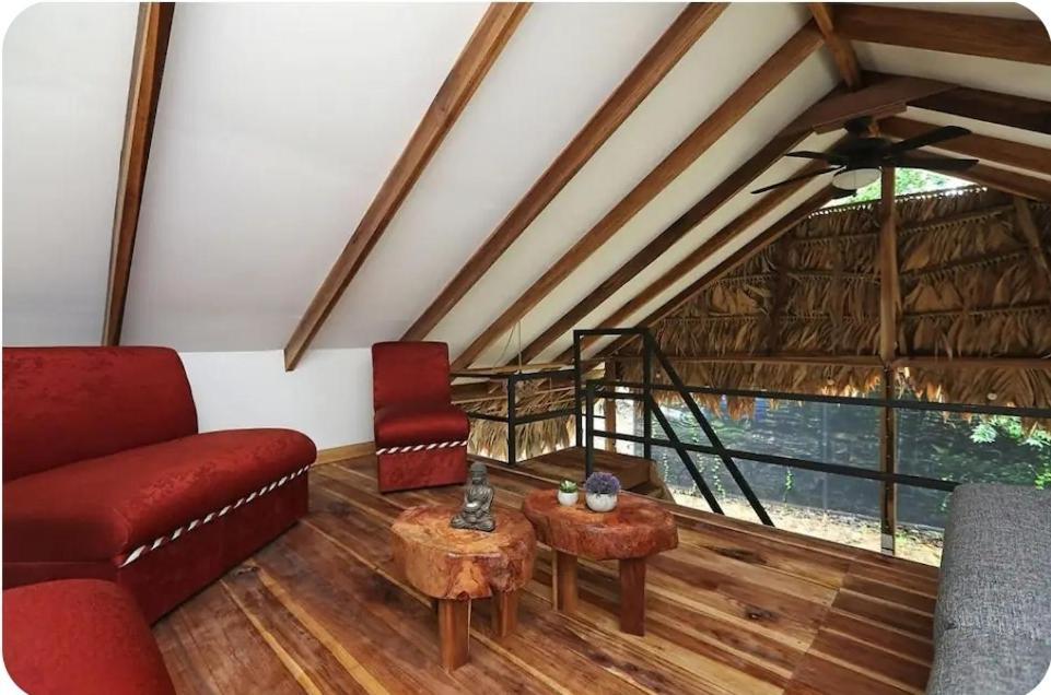 فيلا Evolution House Jungle Oasis Hone Creek المظهر الخارجي الصورة
