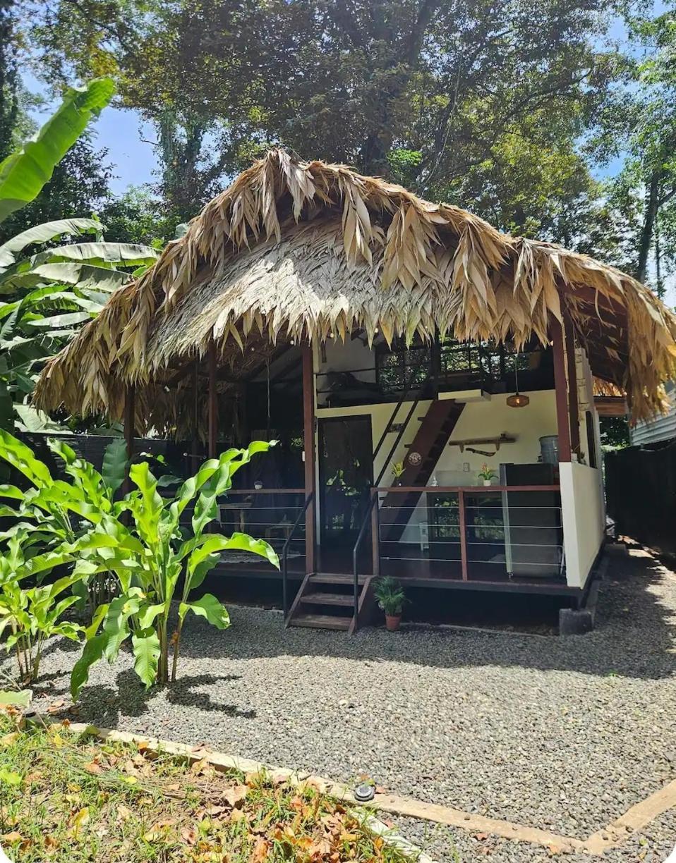 فيلا Evolution House Jungle Oasis Hone Creek المظهر الخارجي الصورة