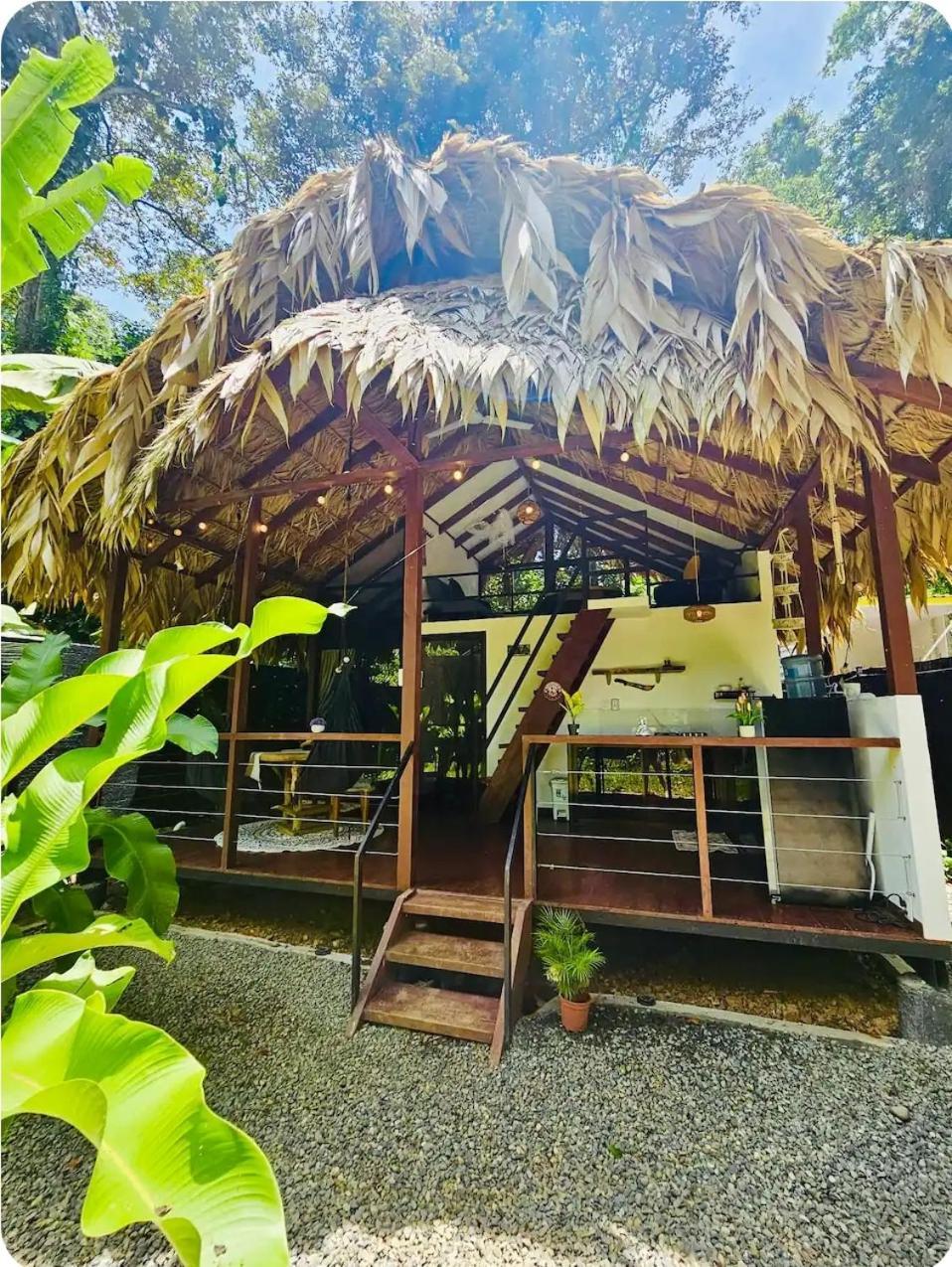 فيلا Evolution House Jungle Oasis Hone Creek المظهر الخارجي الصورة