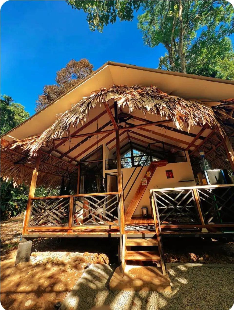 فيلا Evolution House Jungle Oasis Hone Creek المظهر الخارجي الصورة