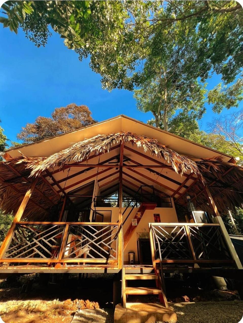 فيلا Evolution House Jungle Oasis Hone Creek المظهر الخارجي الصورة