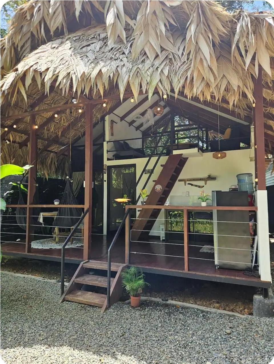 فيلا Evolution House Jungle Oasis Hone Creek المظهر الخارجي الصورة